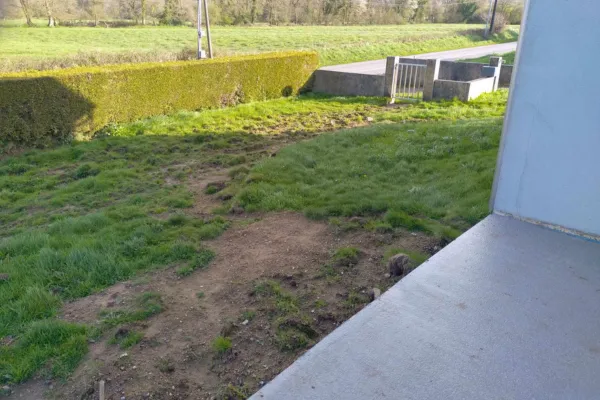 before-image